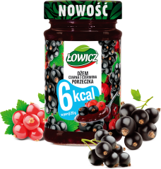 ŁOWICZ 200 g 6 kcal Czarna i czerwona porzeczka+