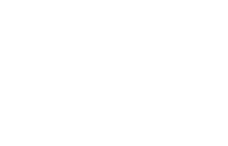 WŁOCŁAWEK logo white