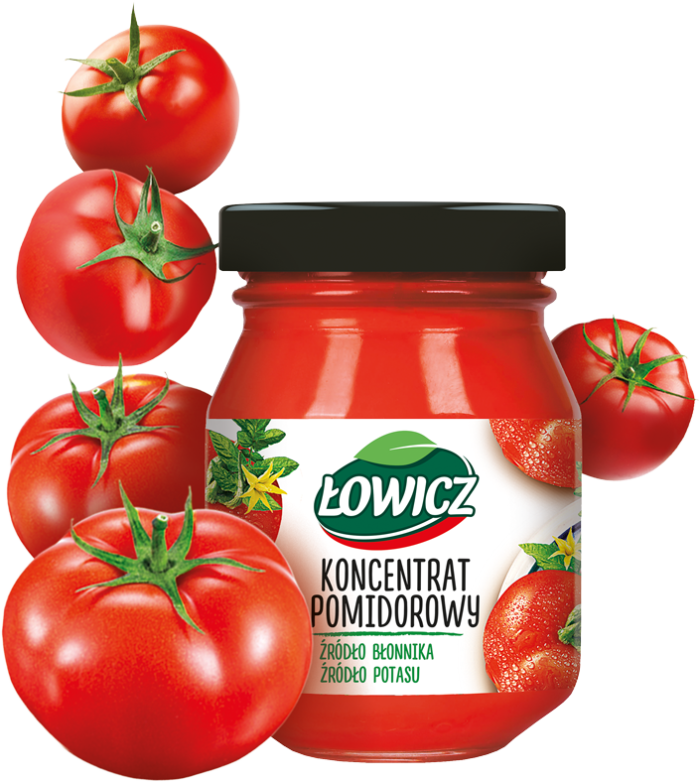 ŁOWICZ 80 g koncentrat pomidorowy