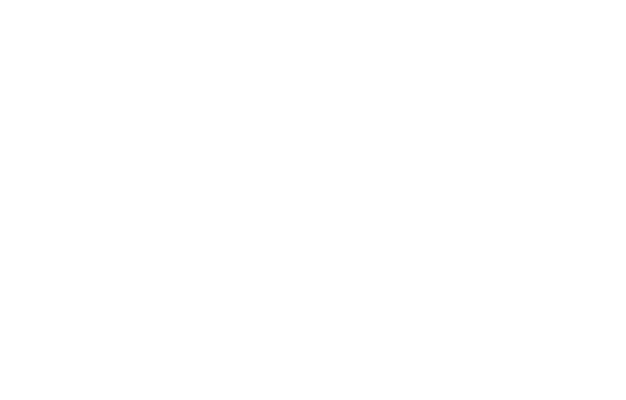 WŁOCŁAWEK logo white